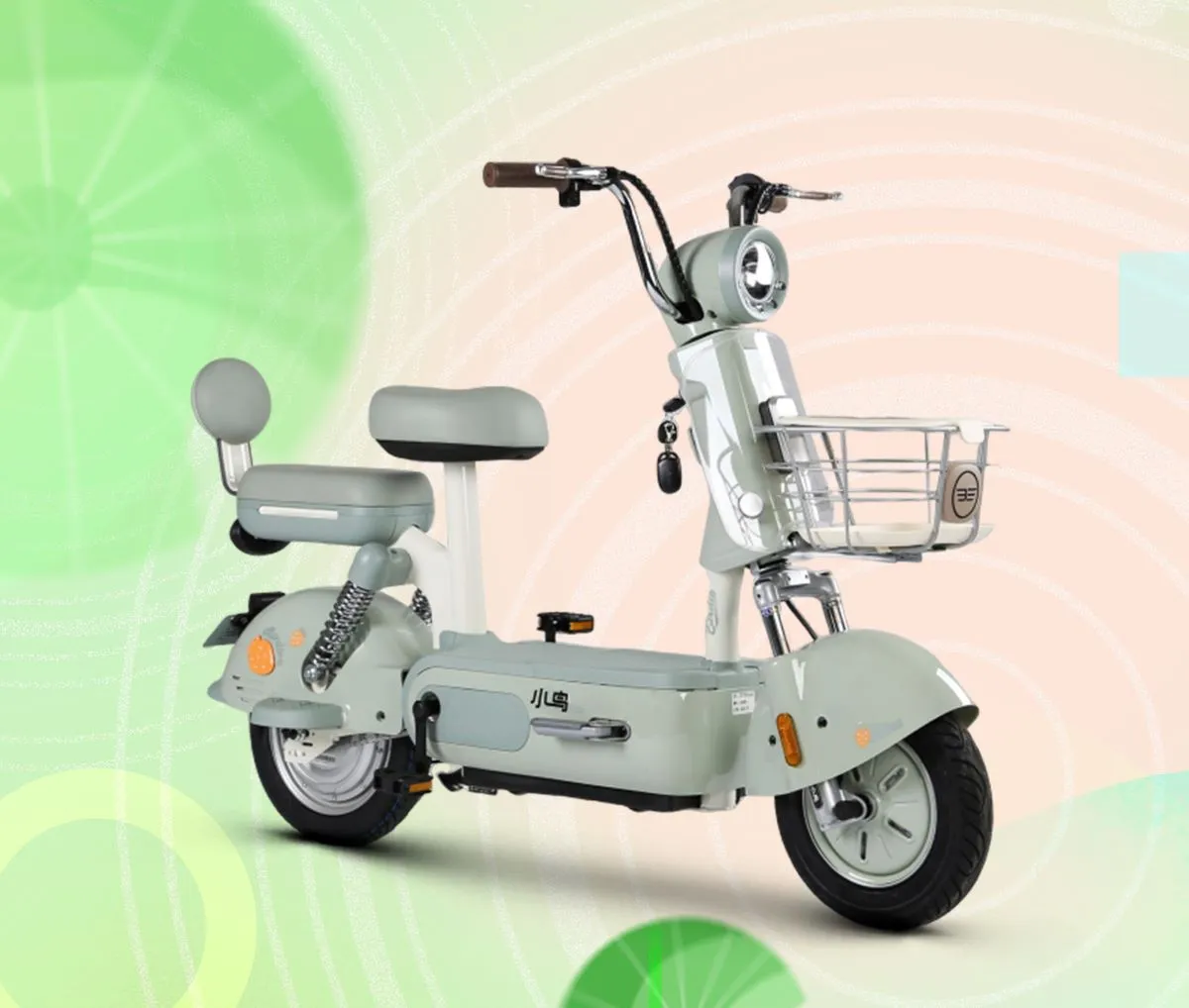 Birde Electric Vehicle